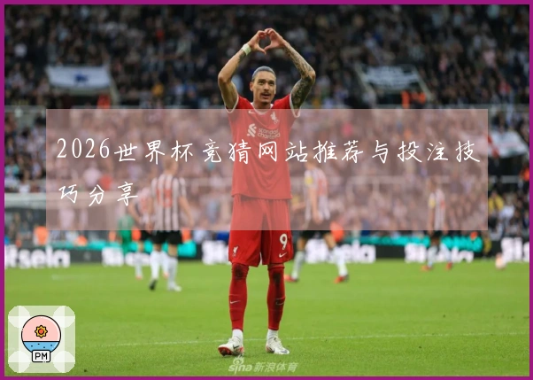 2026世界杯竞猜网站推荐与投注技巧分享