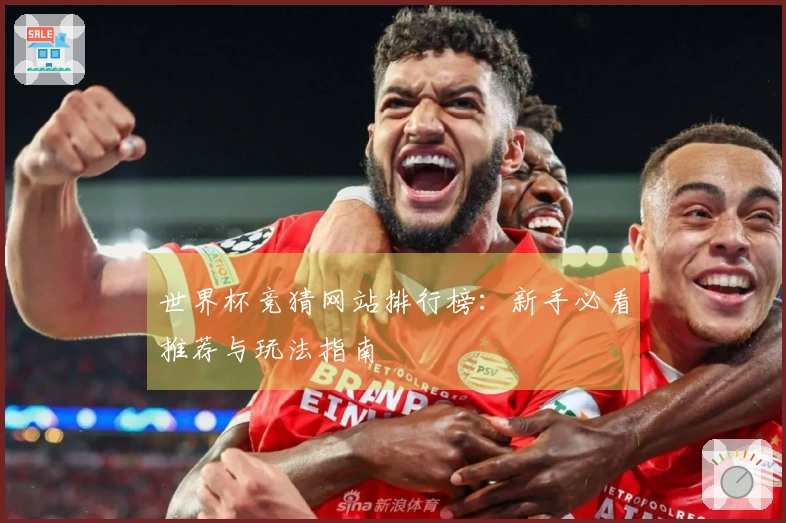 世界杯竞猜网站排行榜：新手必看推荐与玩法指南