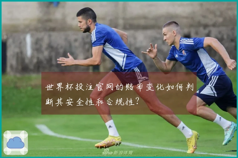 世界杯投注官网的赔率变化如何判断其安全性和合规性？
