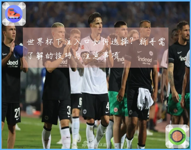 世界杯下注入口如何选择？新手需了解的技巧与注意事项