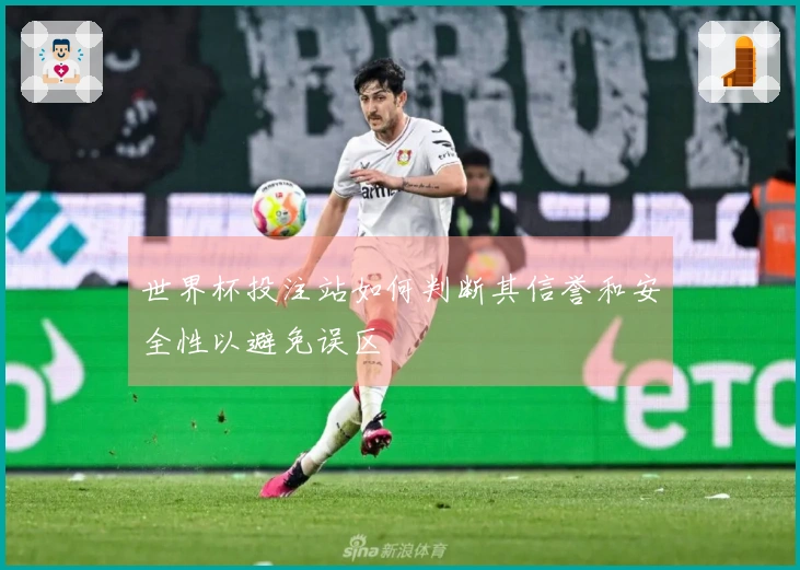 世界杯投注站如何判断其信誉和安全性以避免误区